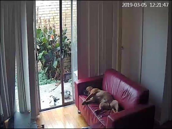 image-13