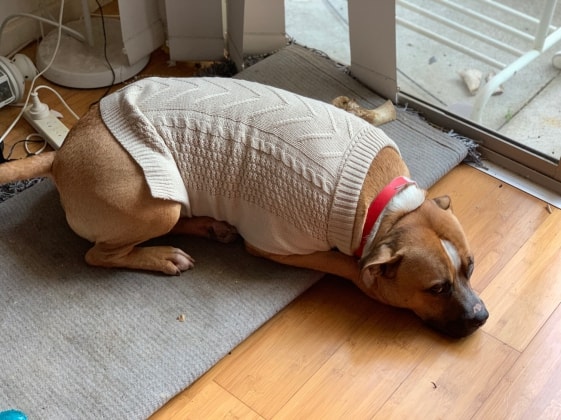 image-11