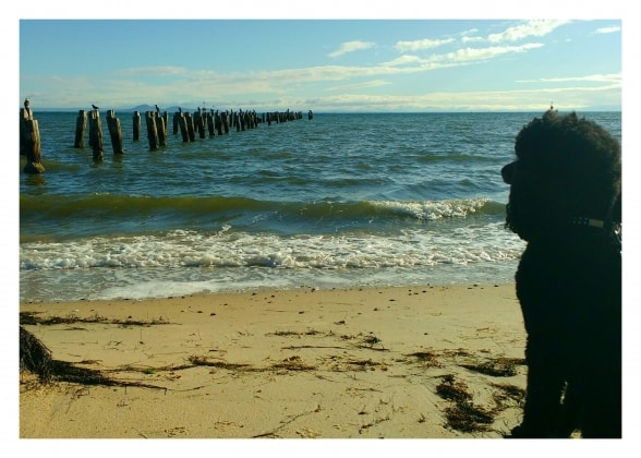 image-19