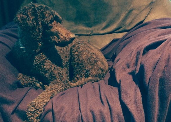 image-7