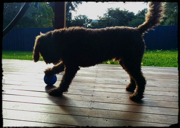 image-17