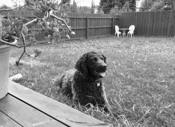 image-33