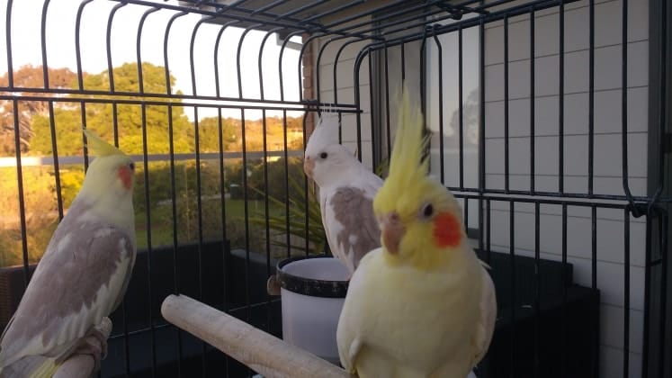image-10