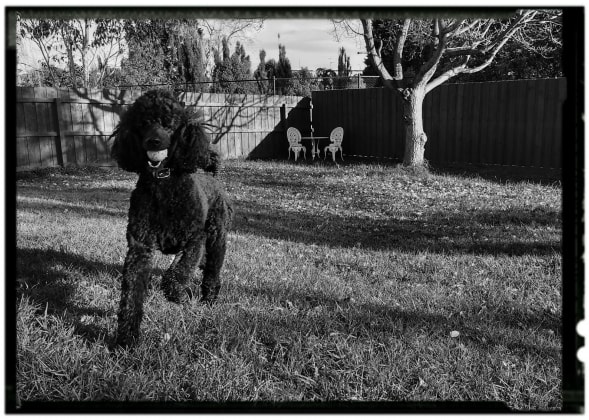 image-22