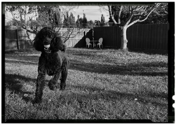image-22