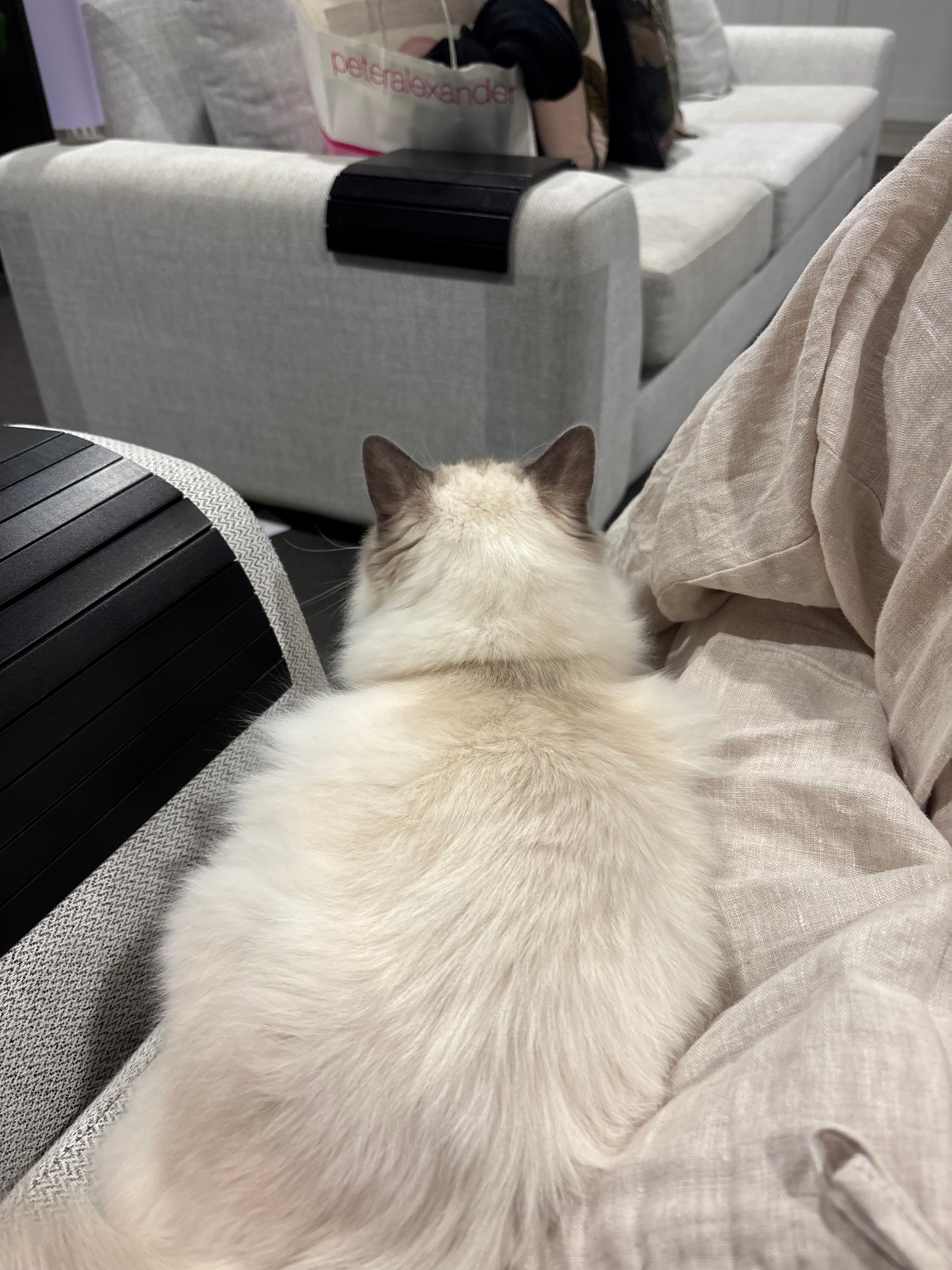 image-6
