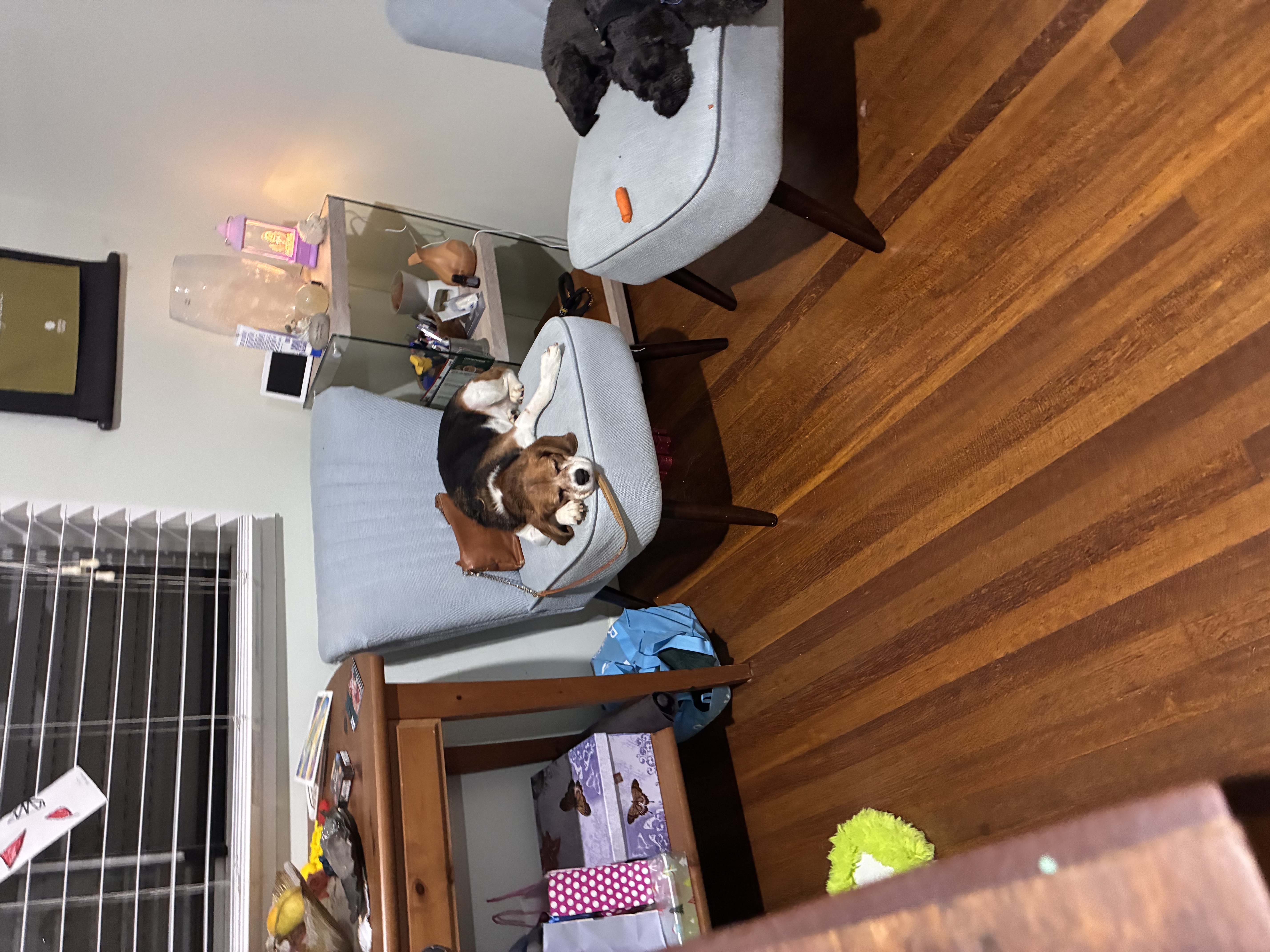 image-13