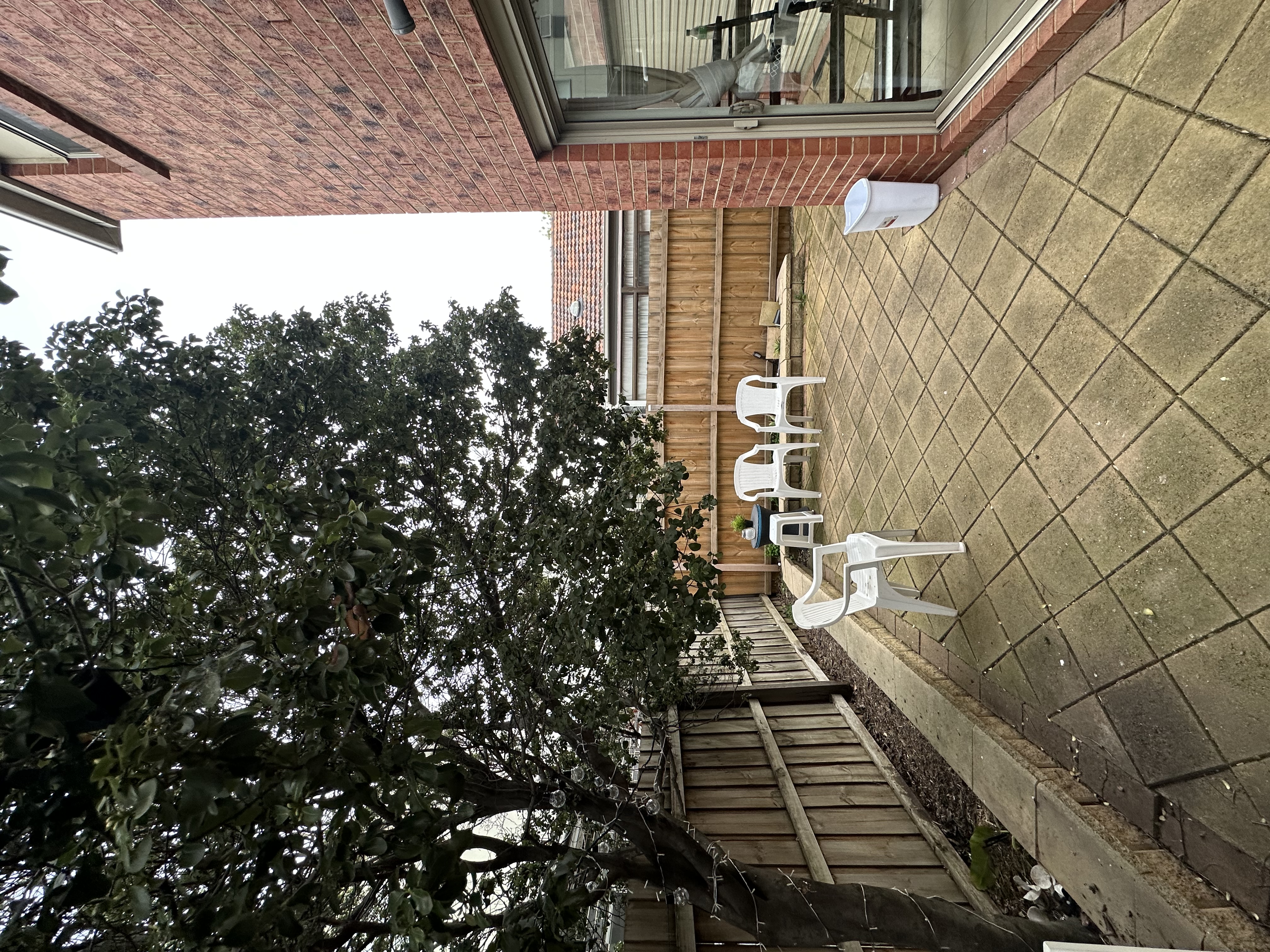 image-14