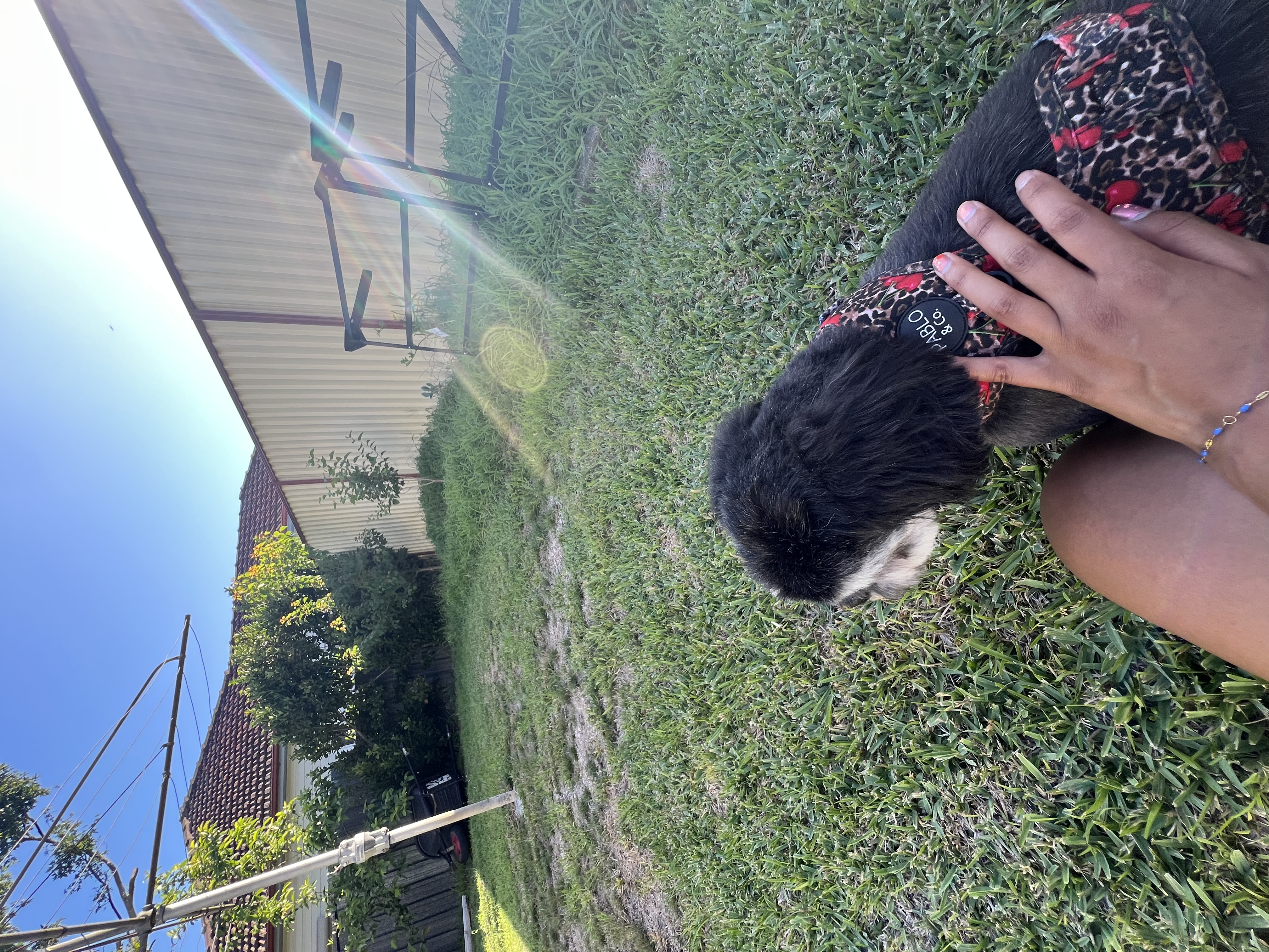 image-8