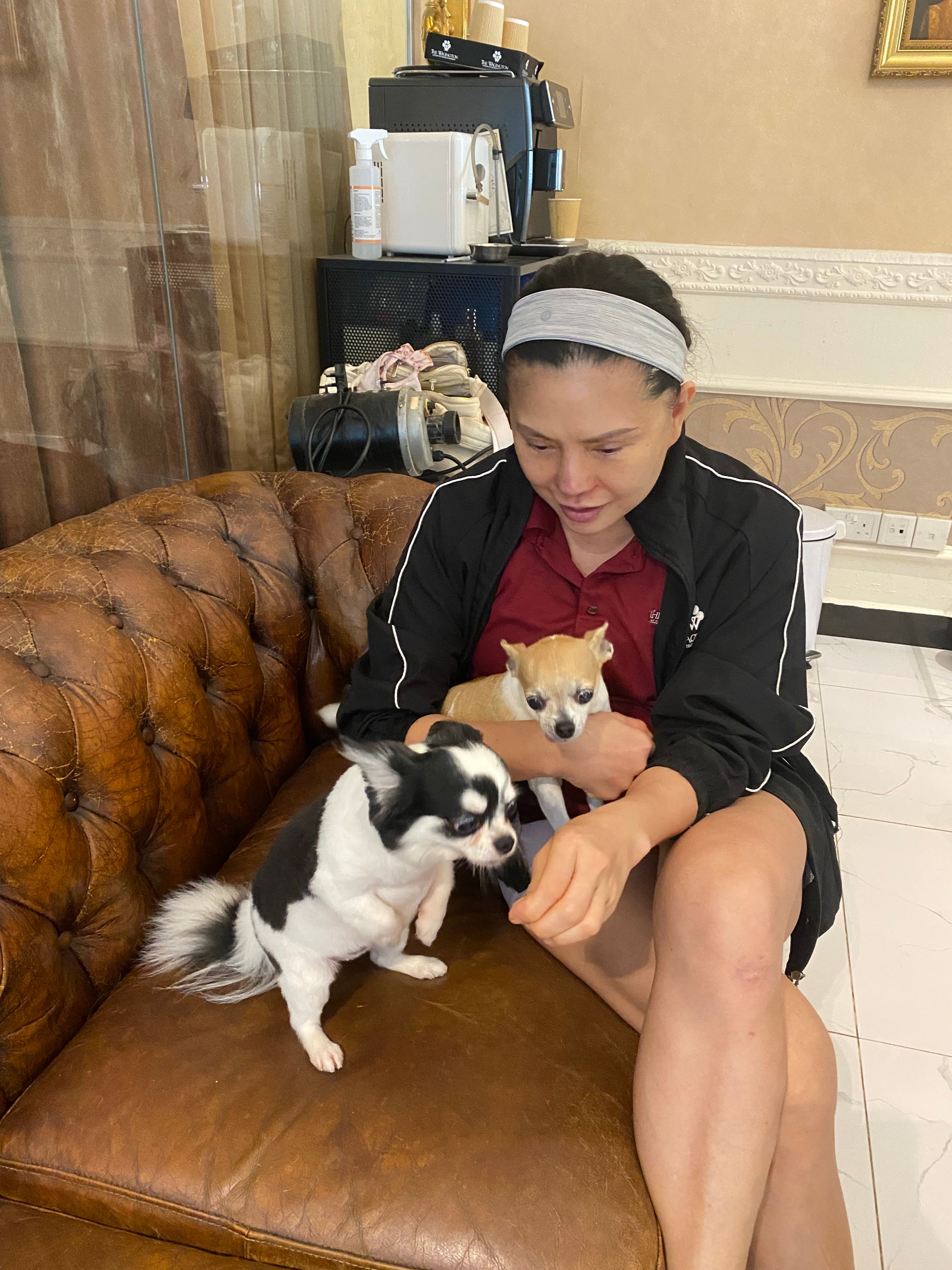 image-11