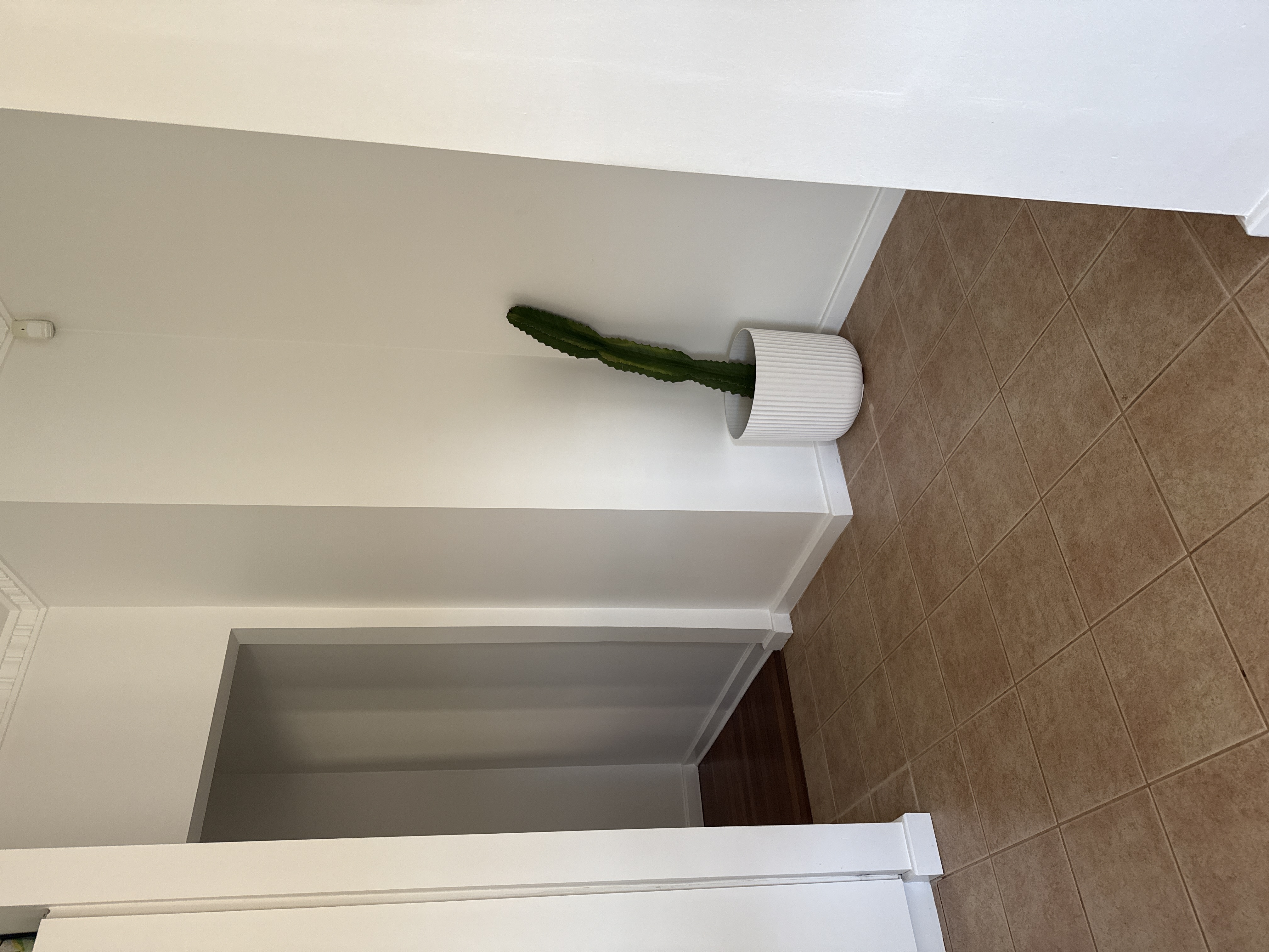 image-18