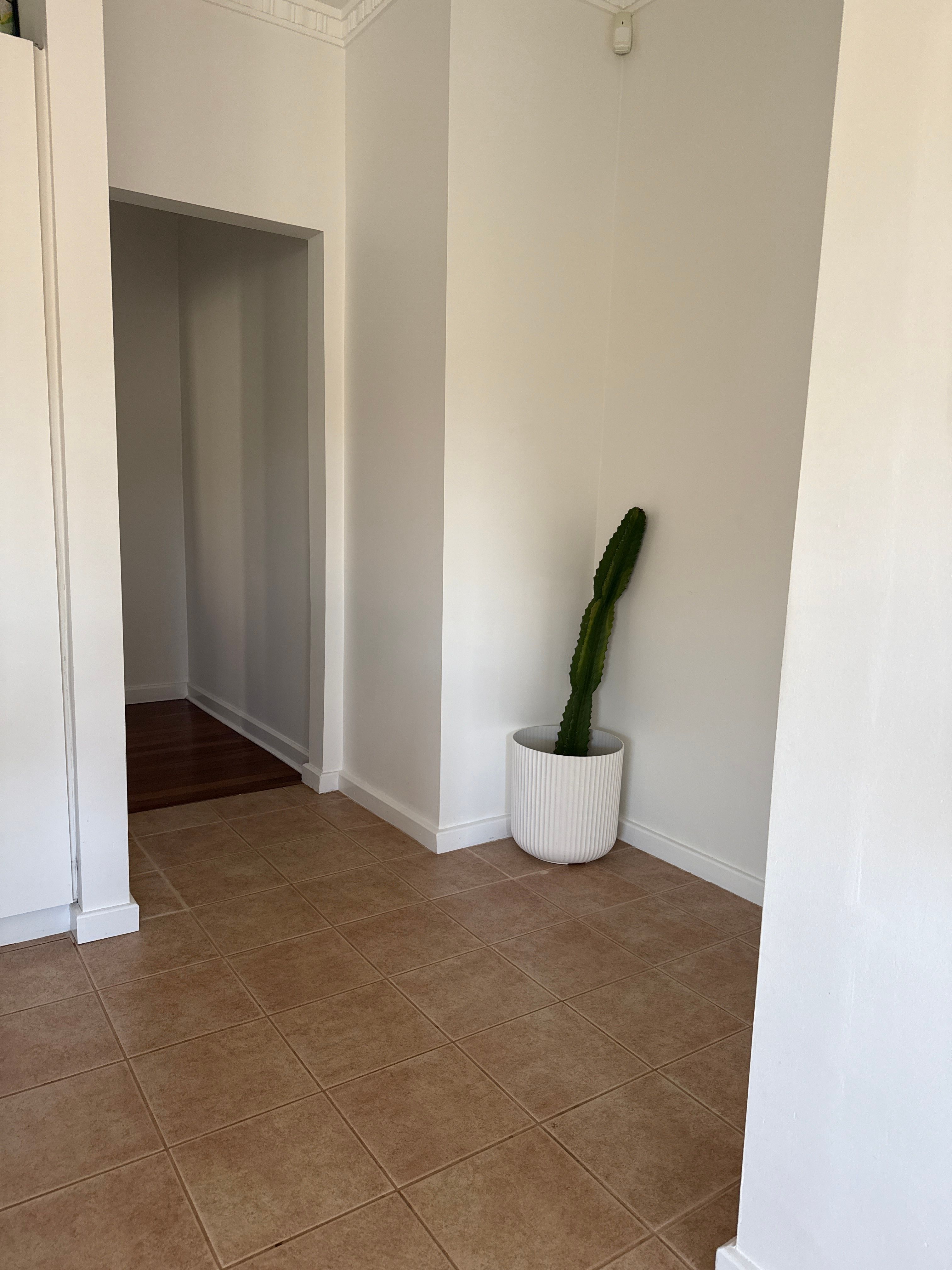 image-18