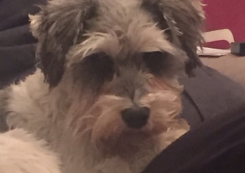 Radley
