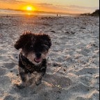 Millie