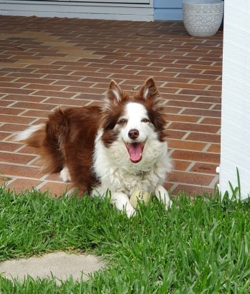 image-11