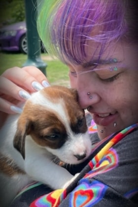 image-12