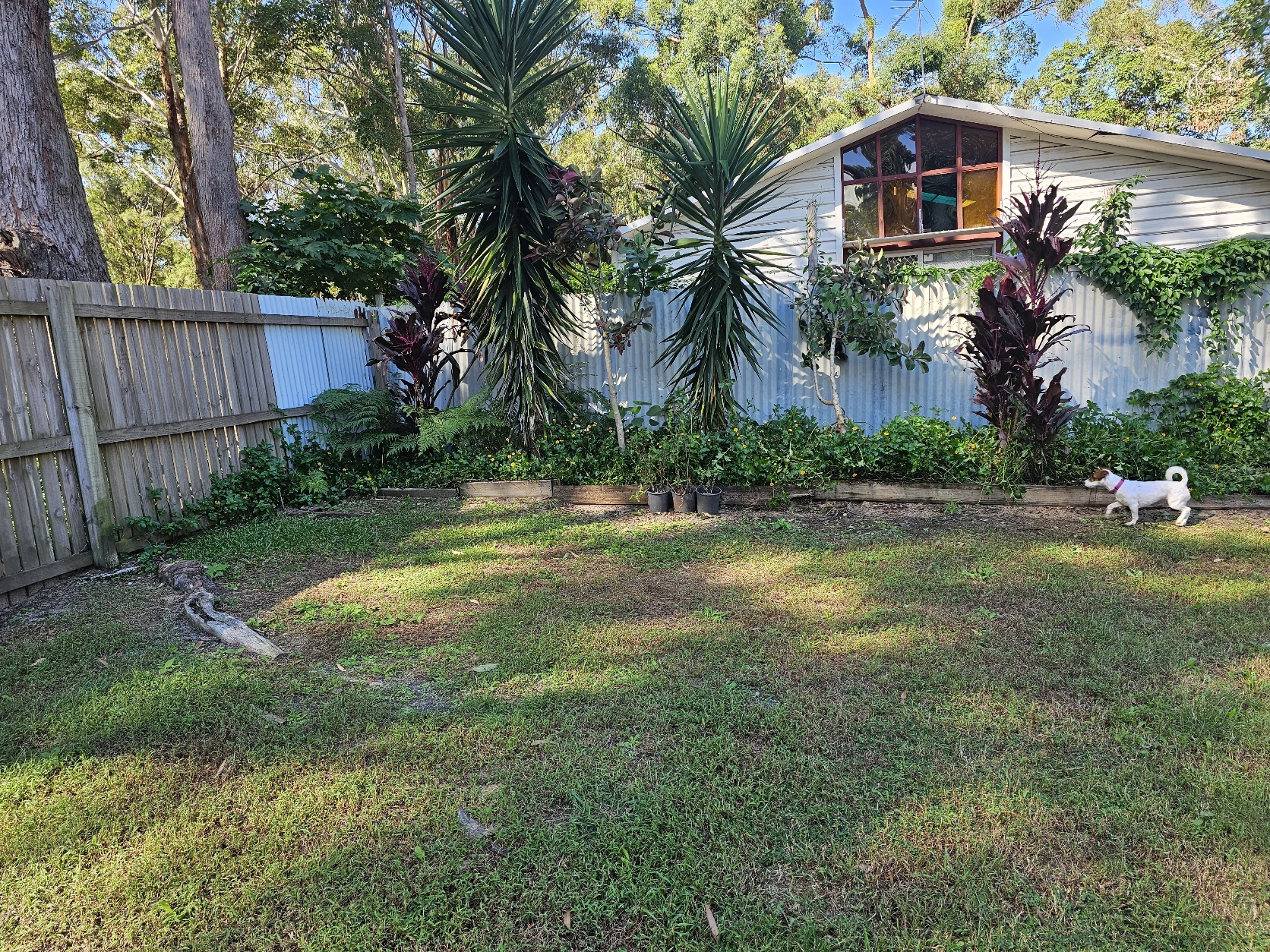 image-14
