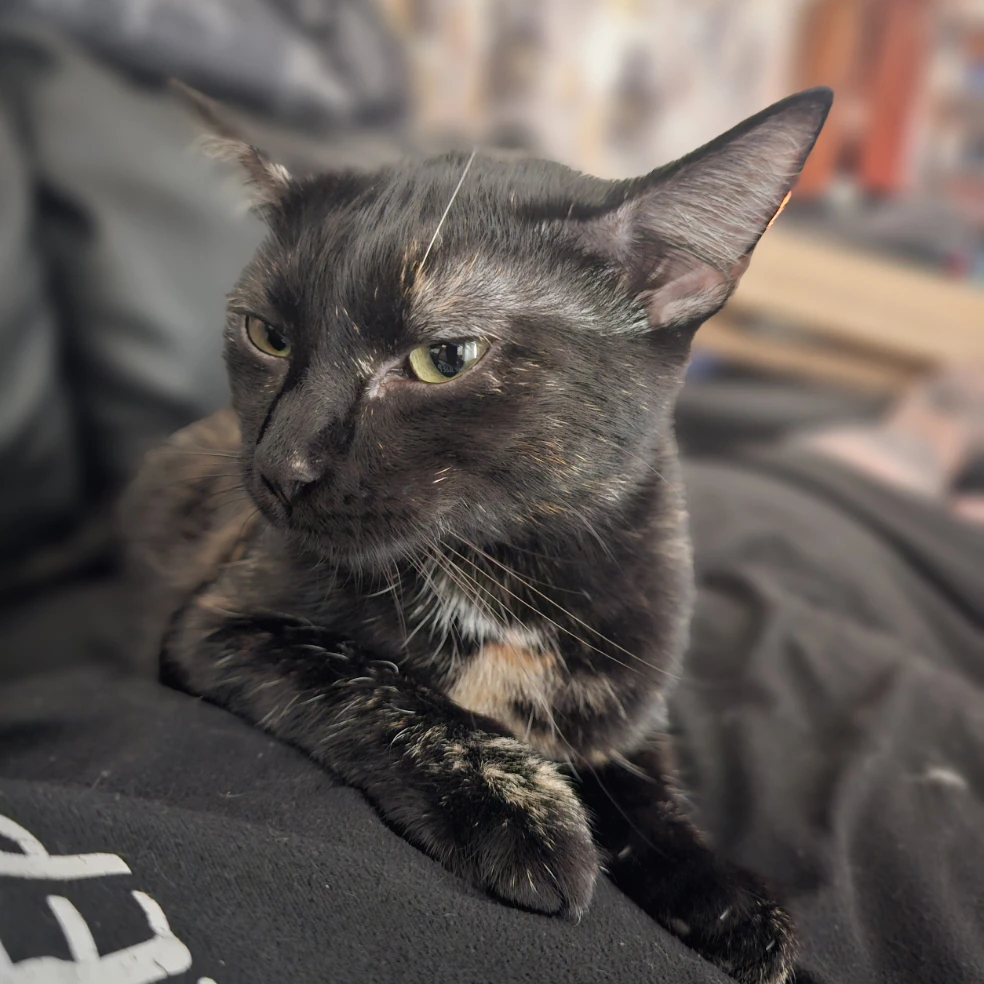 Molly