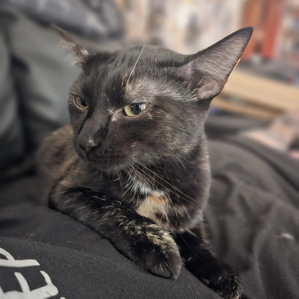Molly