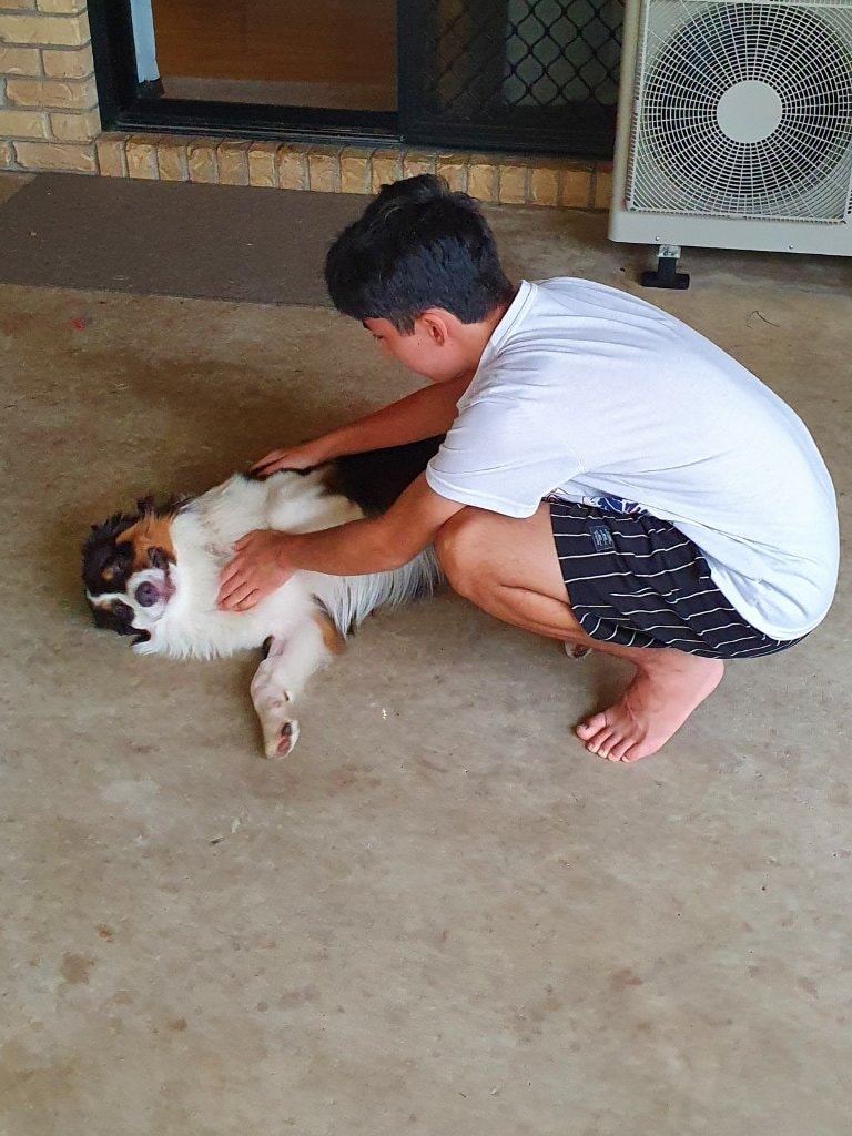 image-22