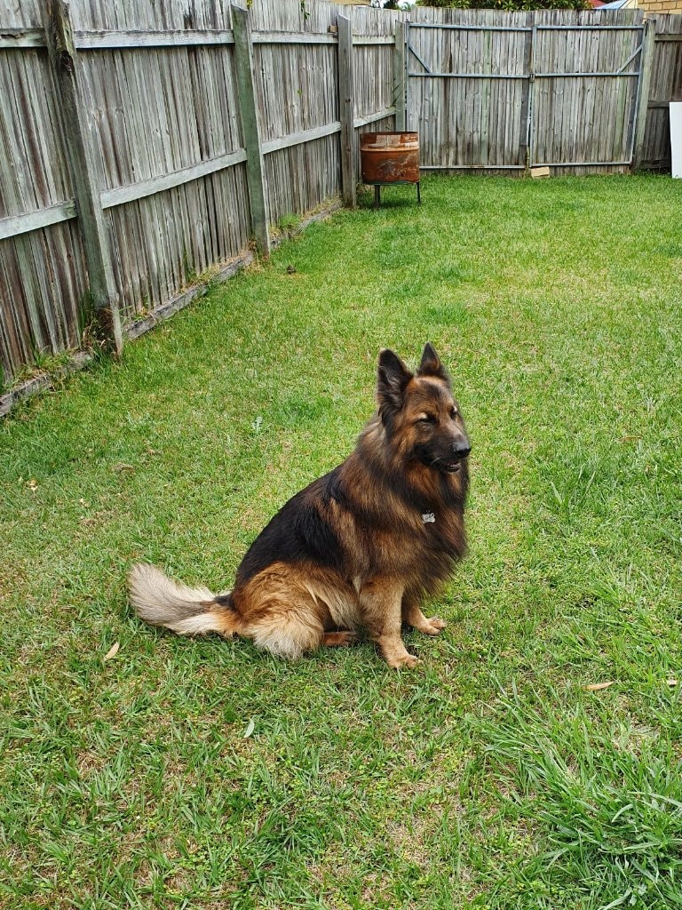 image-25