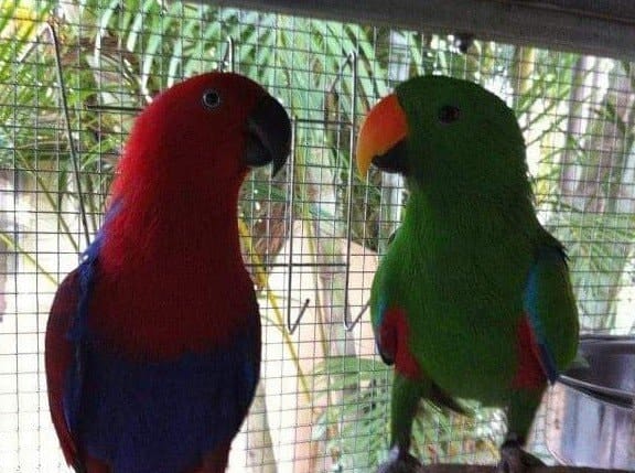 image-45