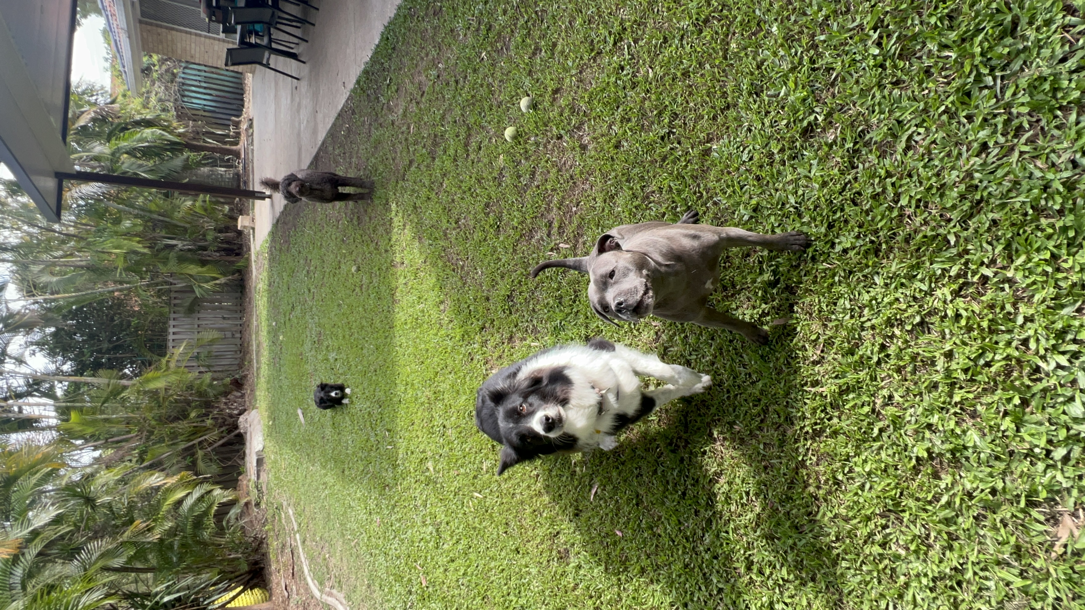 image-38