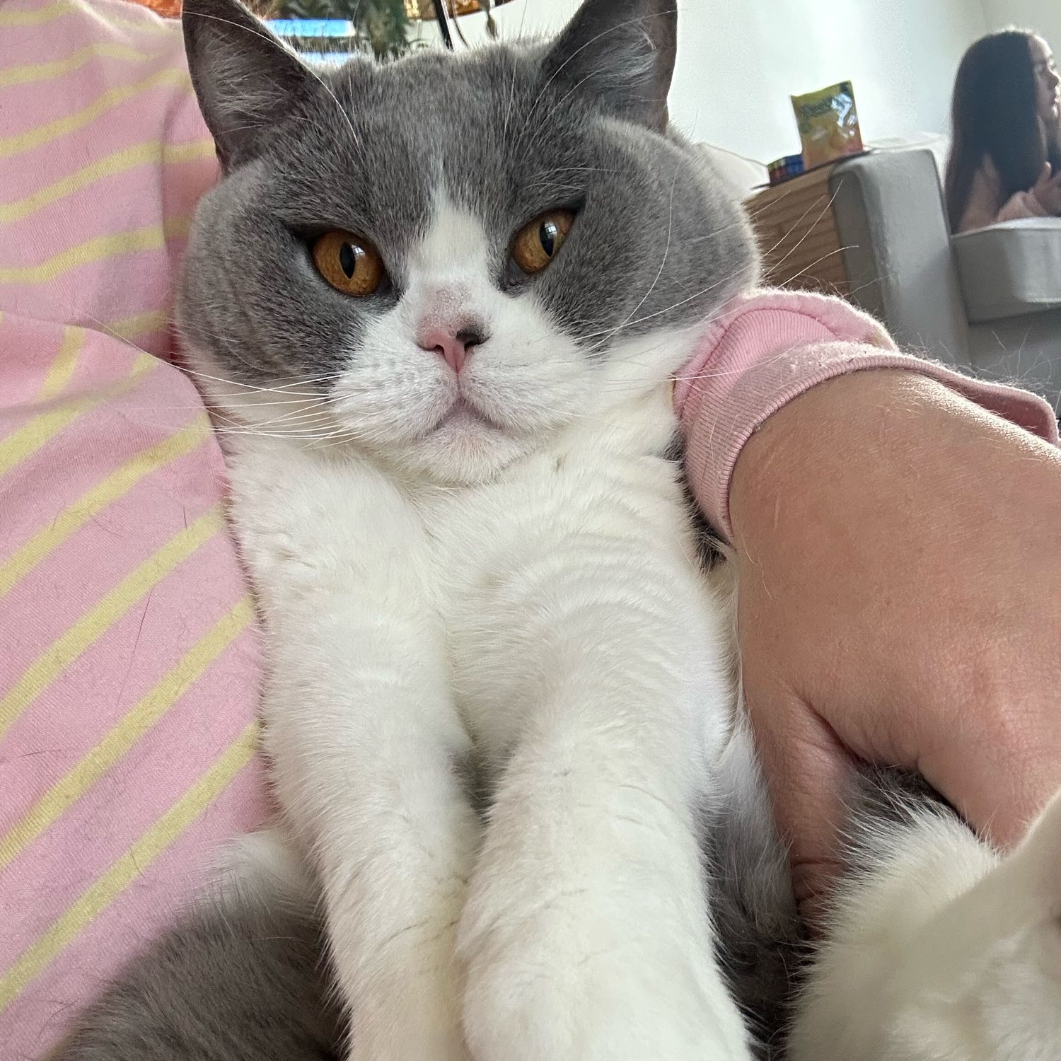 Maggie 