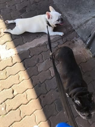 image-18