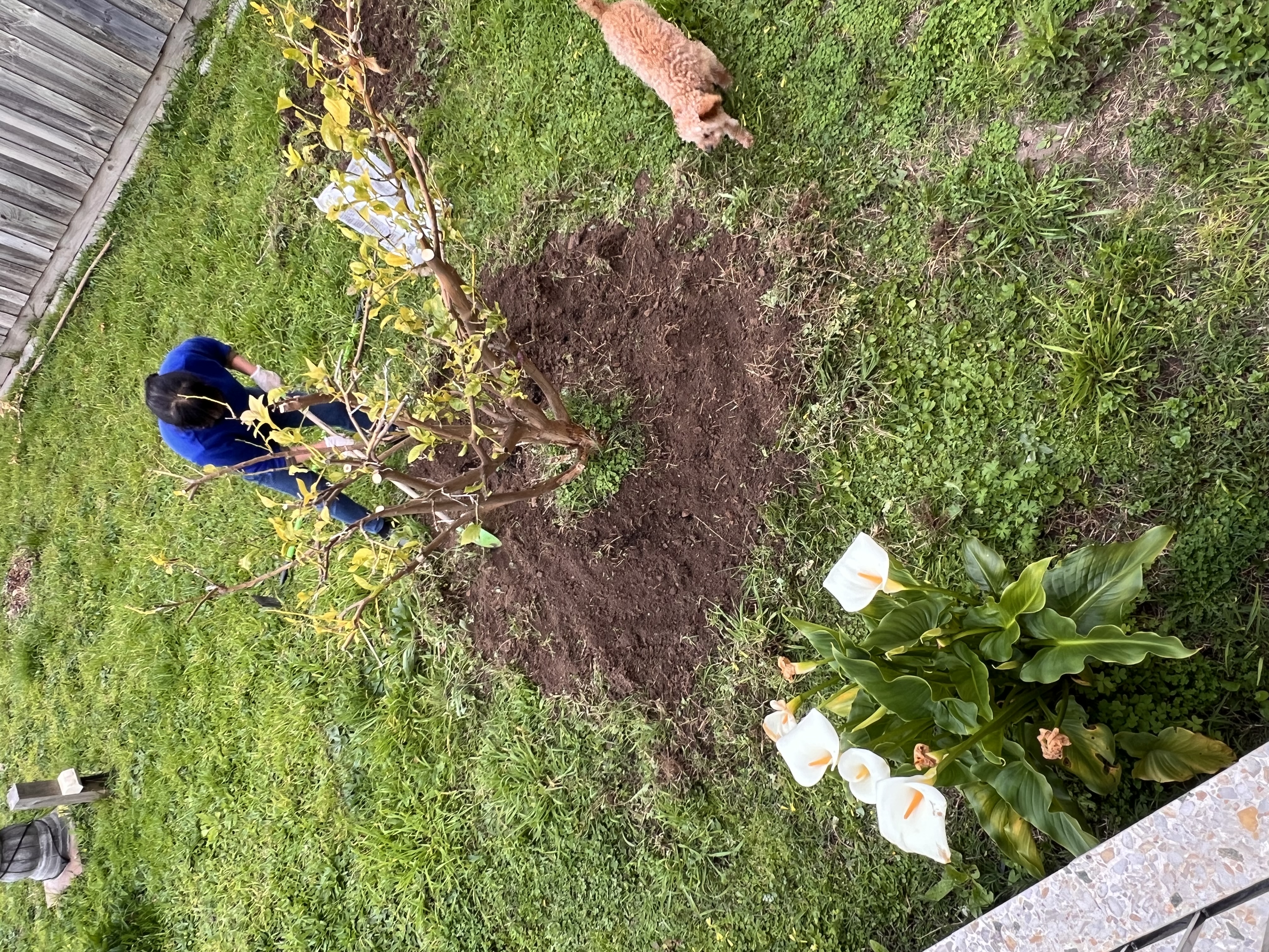 image-5