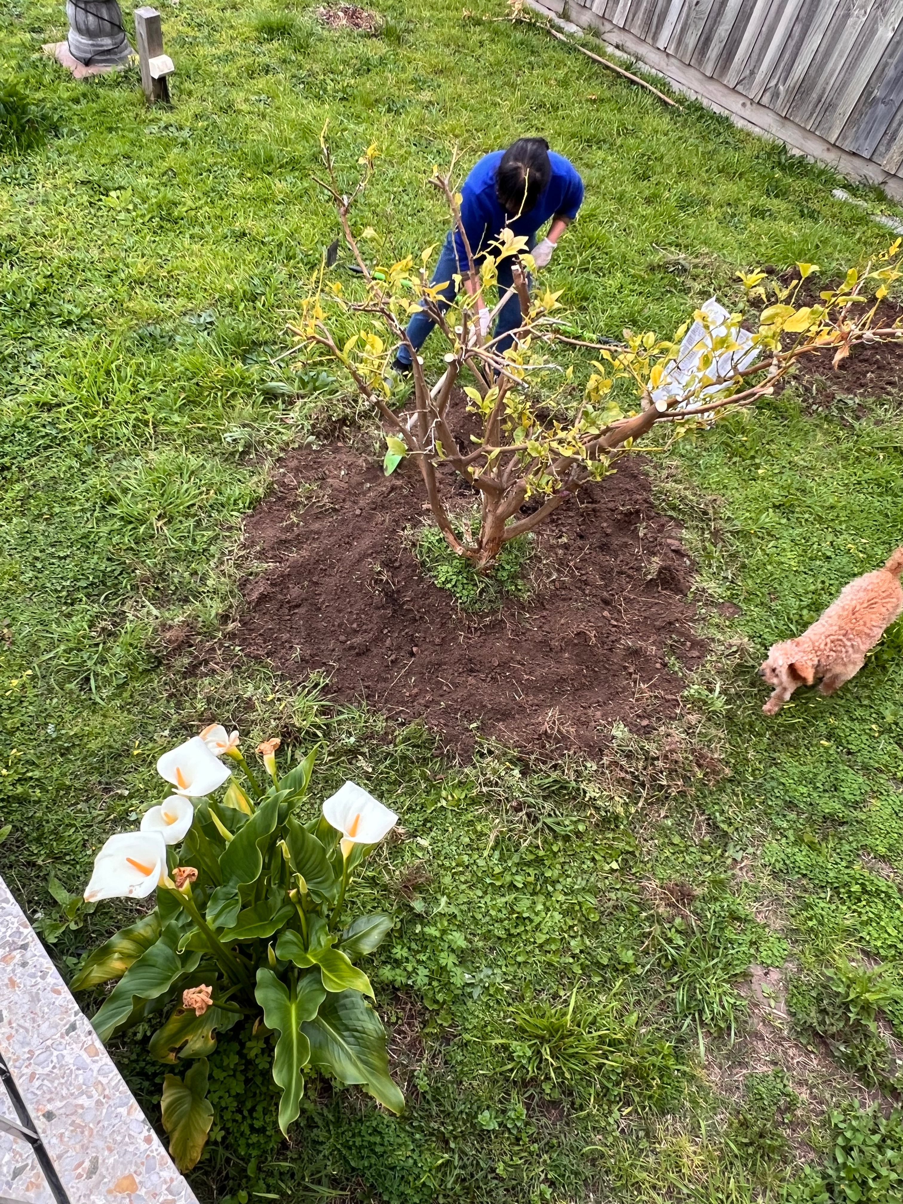 image-5