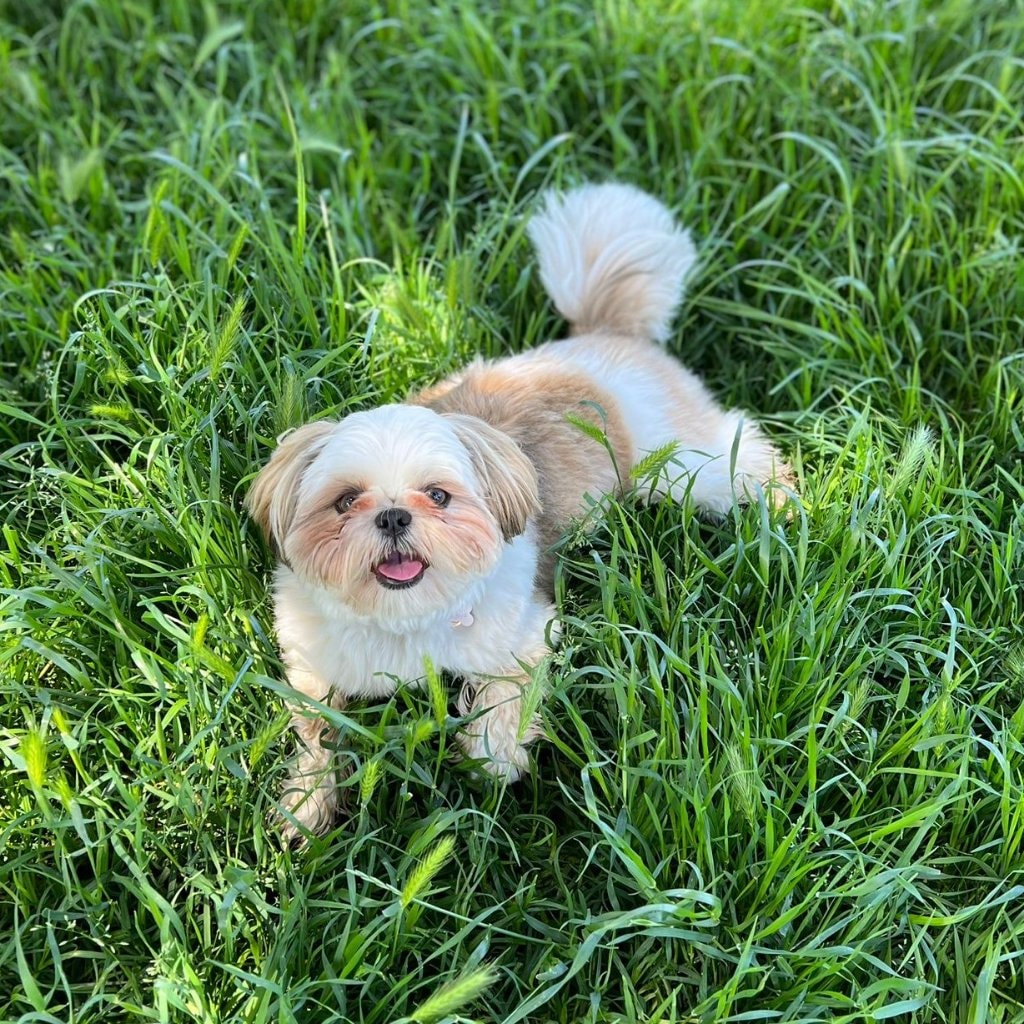 Bonnie 