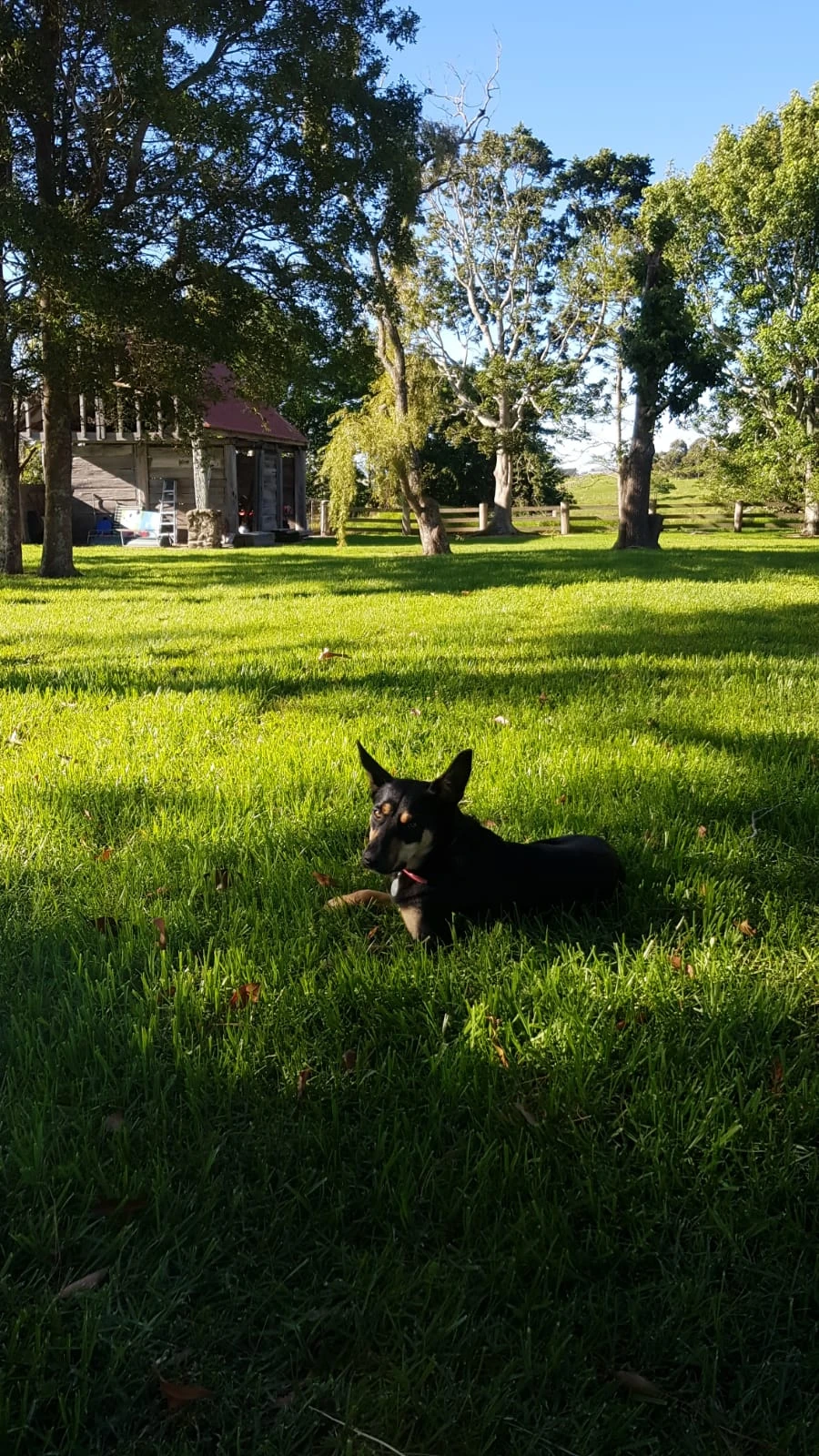 image-12