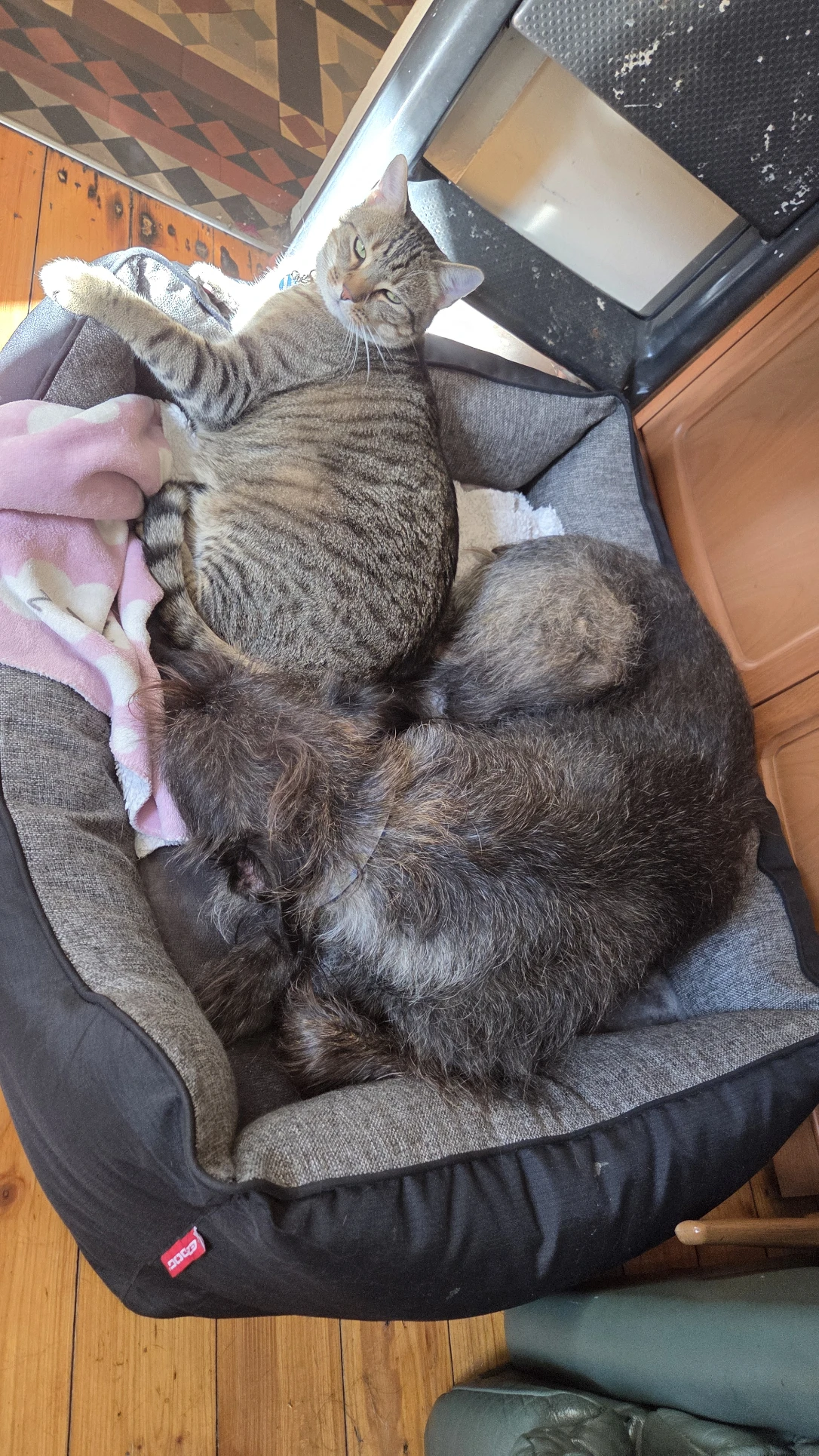 image-6
