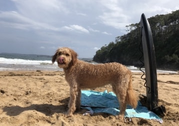 Chloe