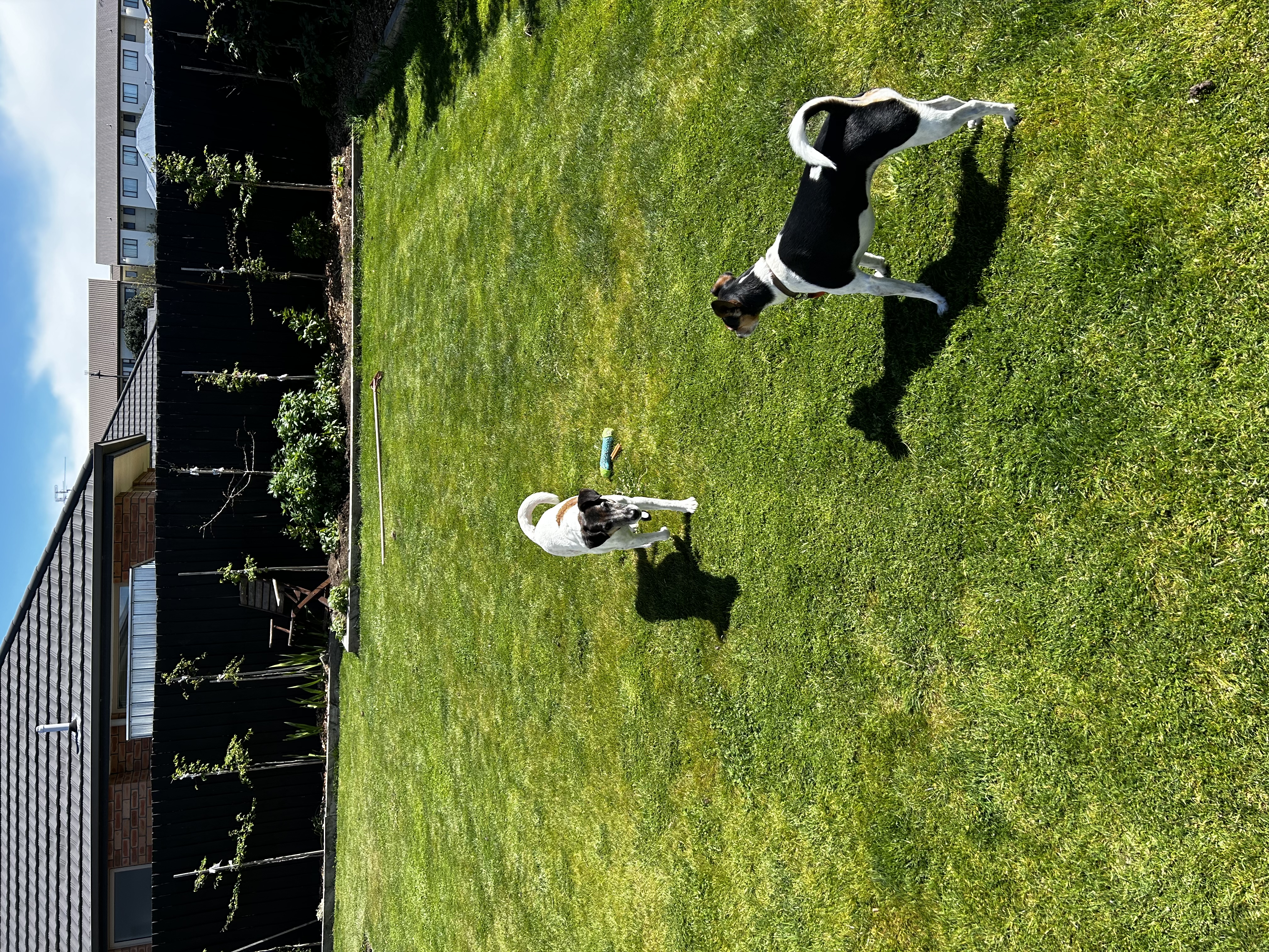 image-16