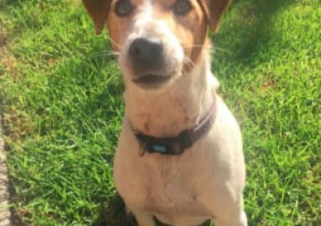 Charlie 
