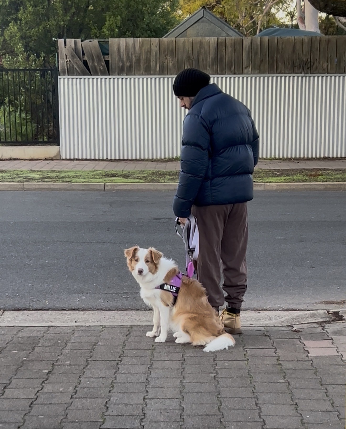 image-19