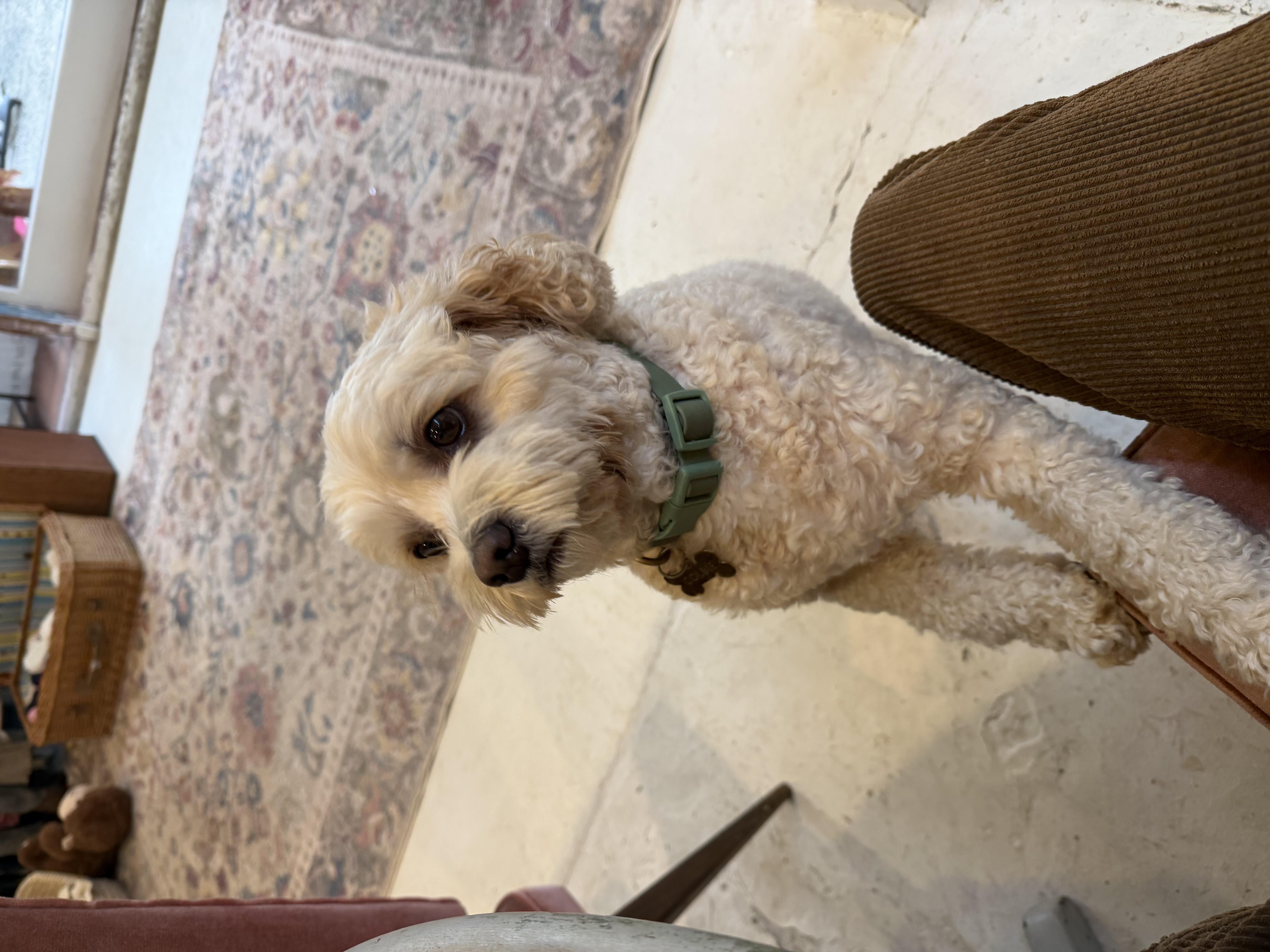 image-6