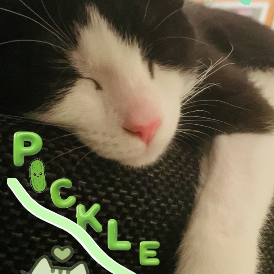 Pickle