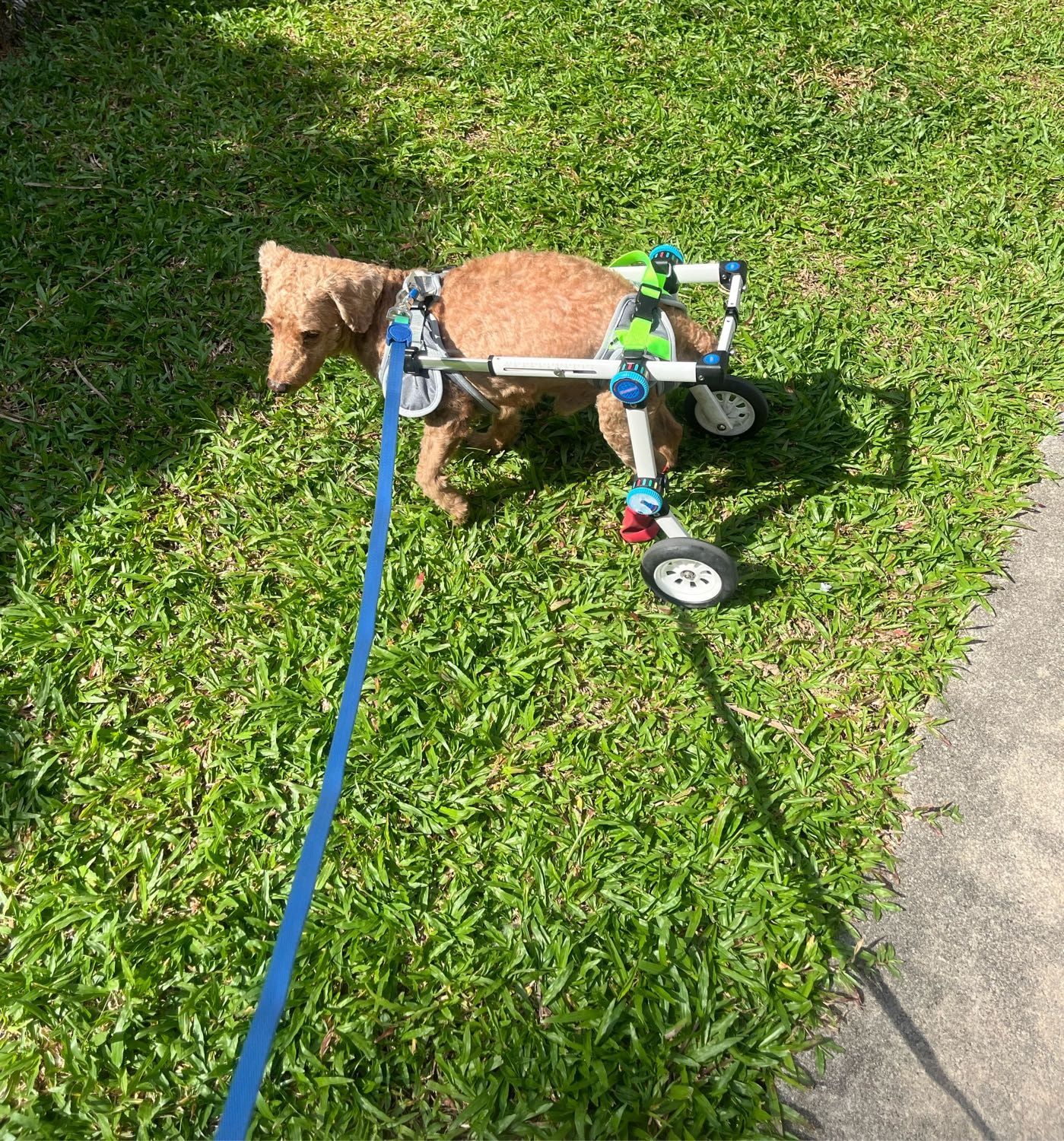 image-7