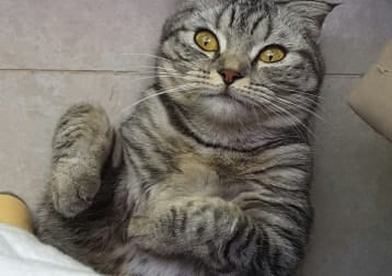 Luzie