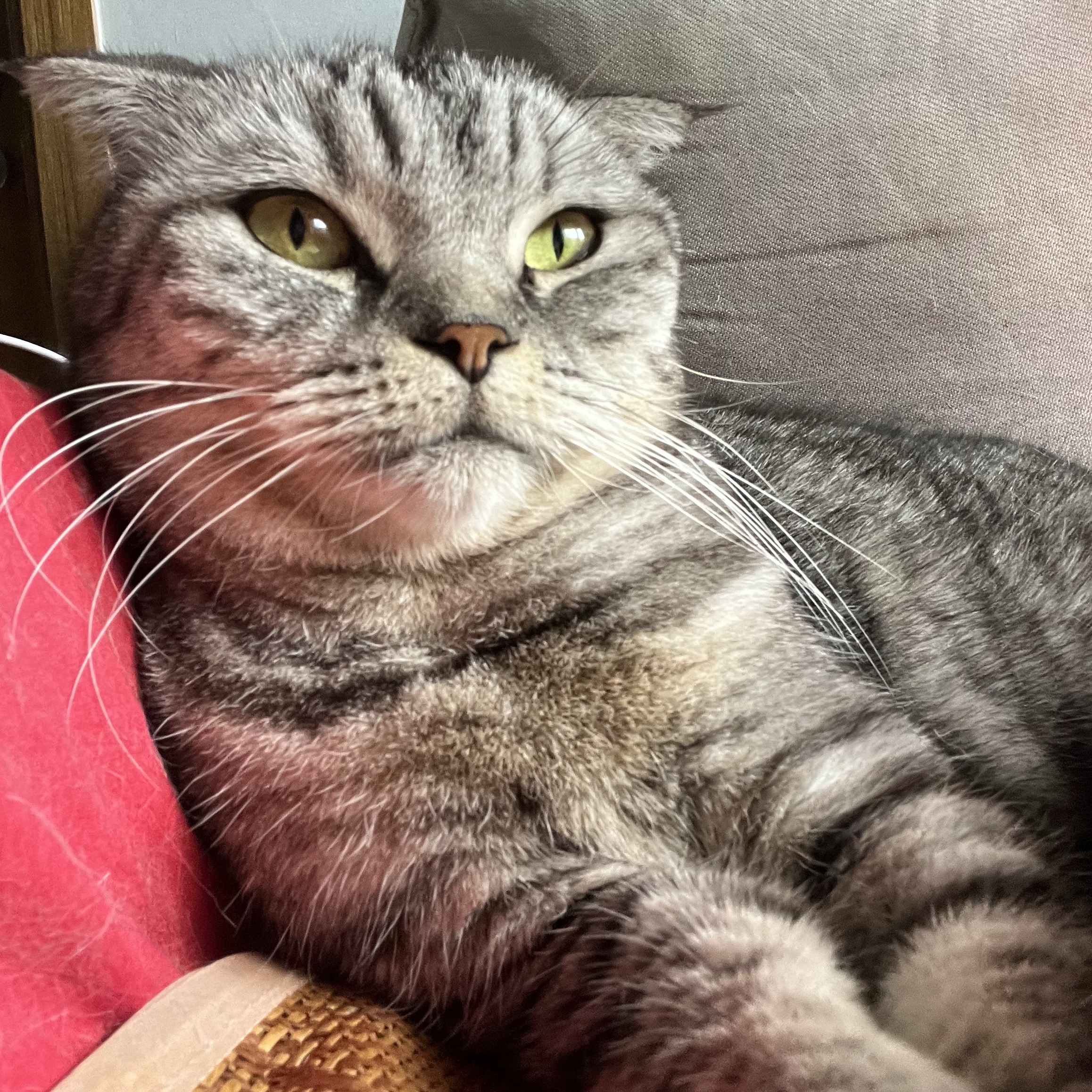 Luzie