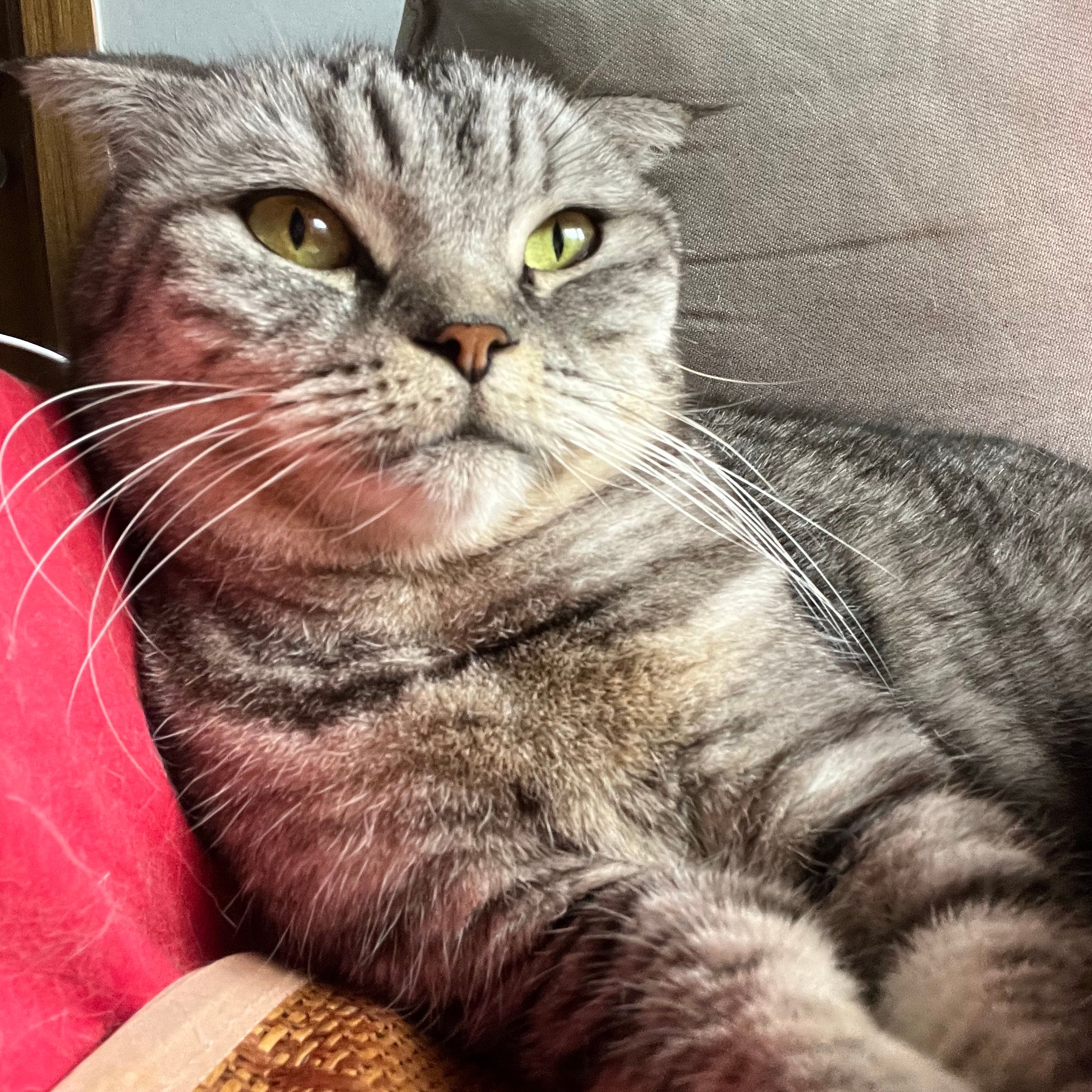 Luzie
