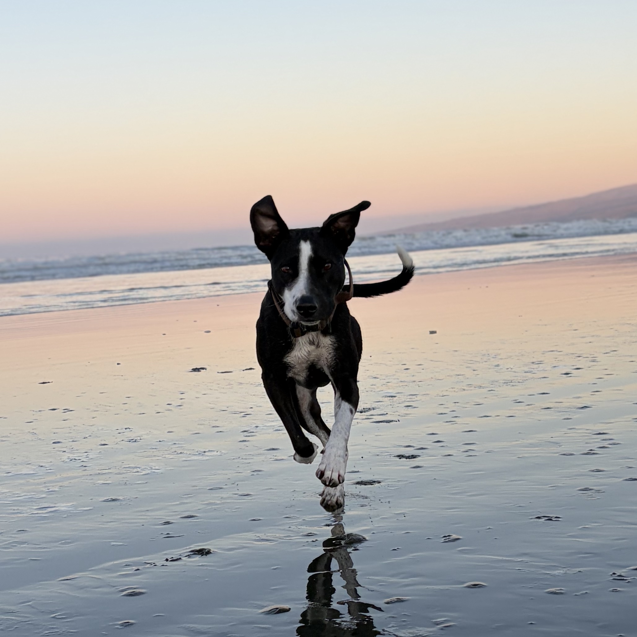 Tilly 