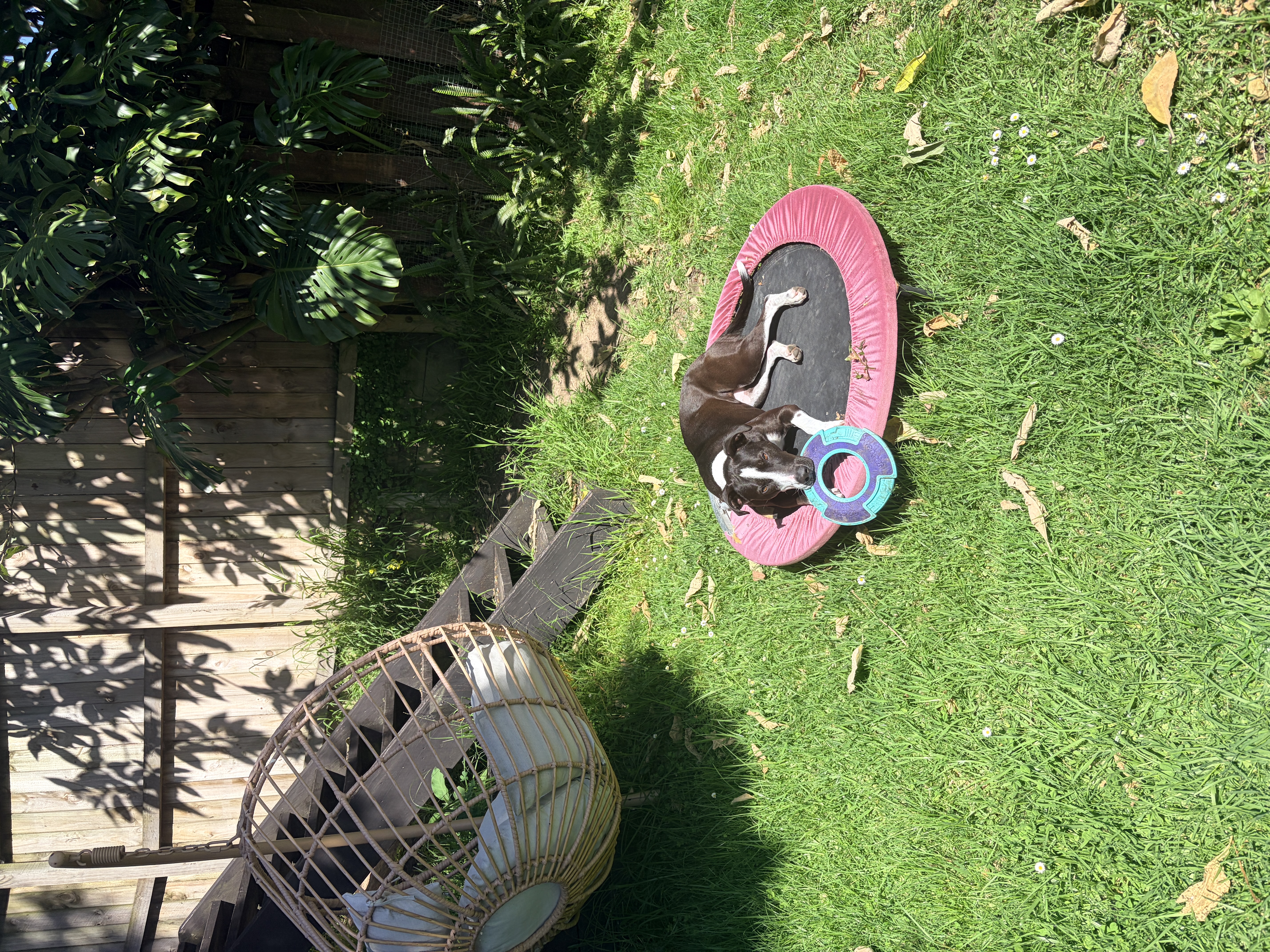 image-8