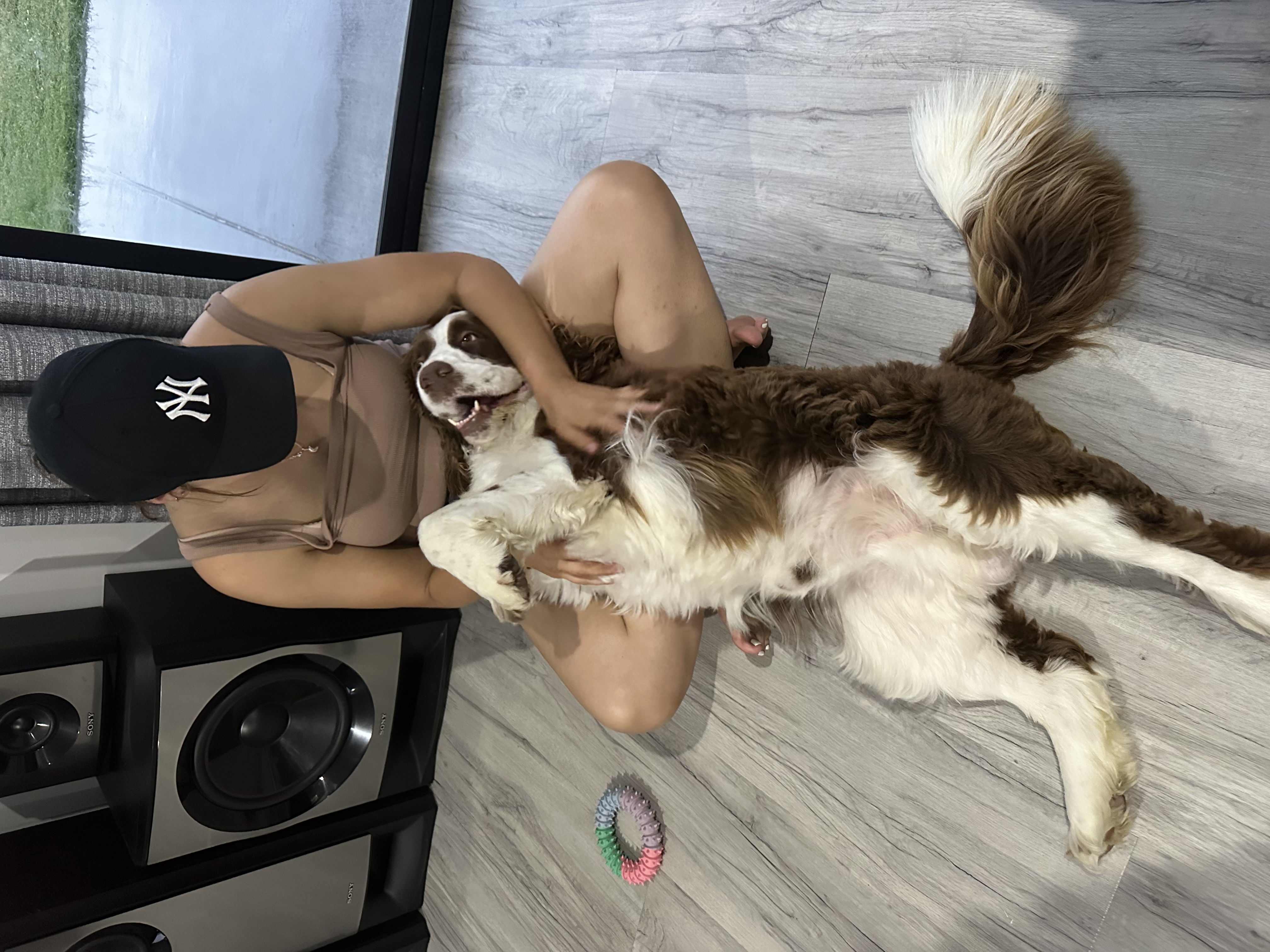 image-6