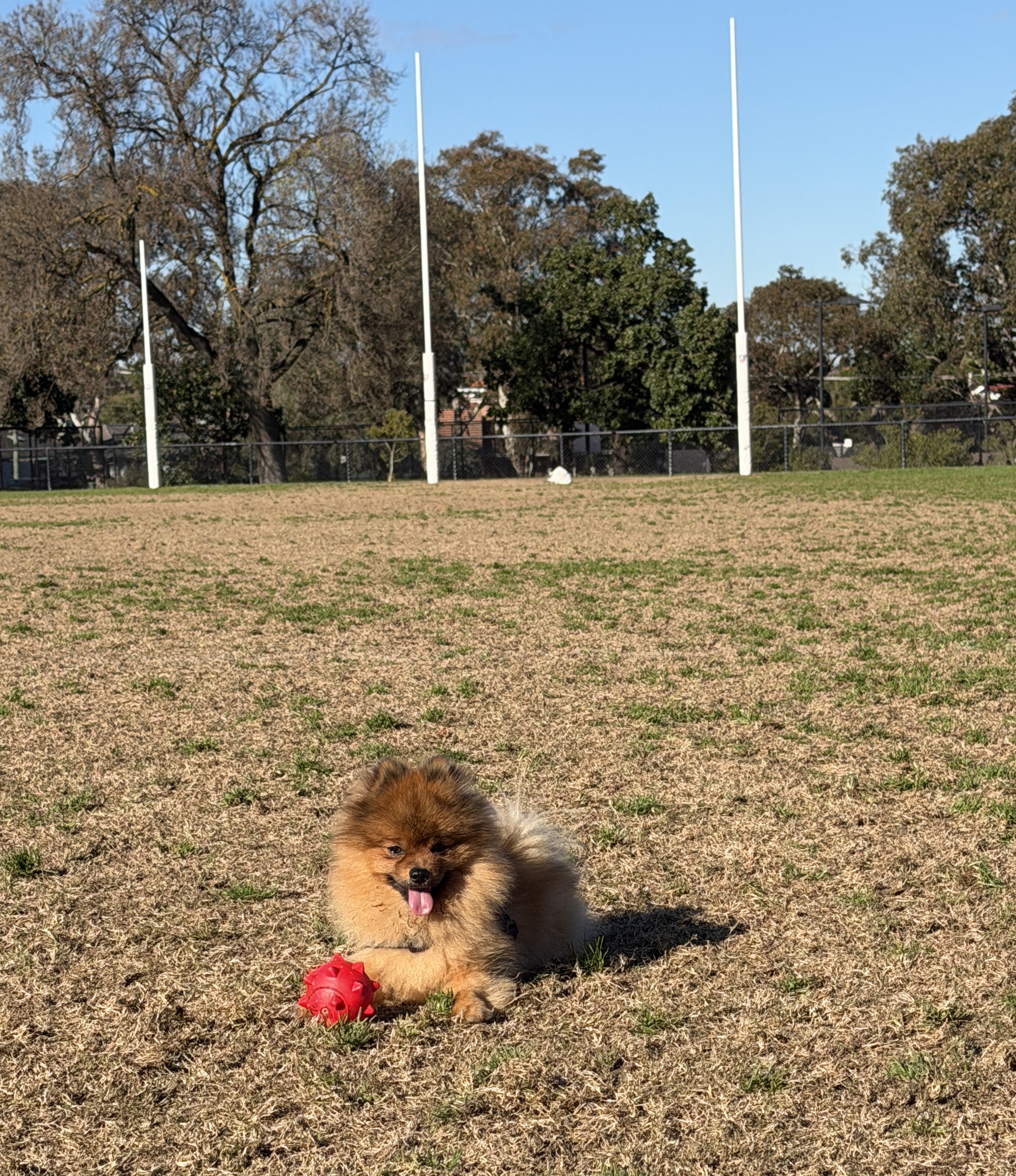 image-4