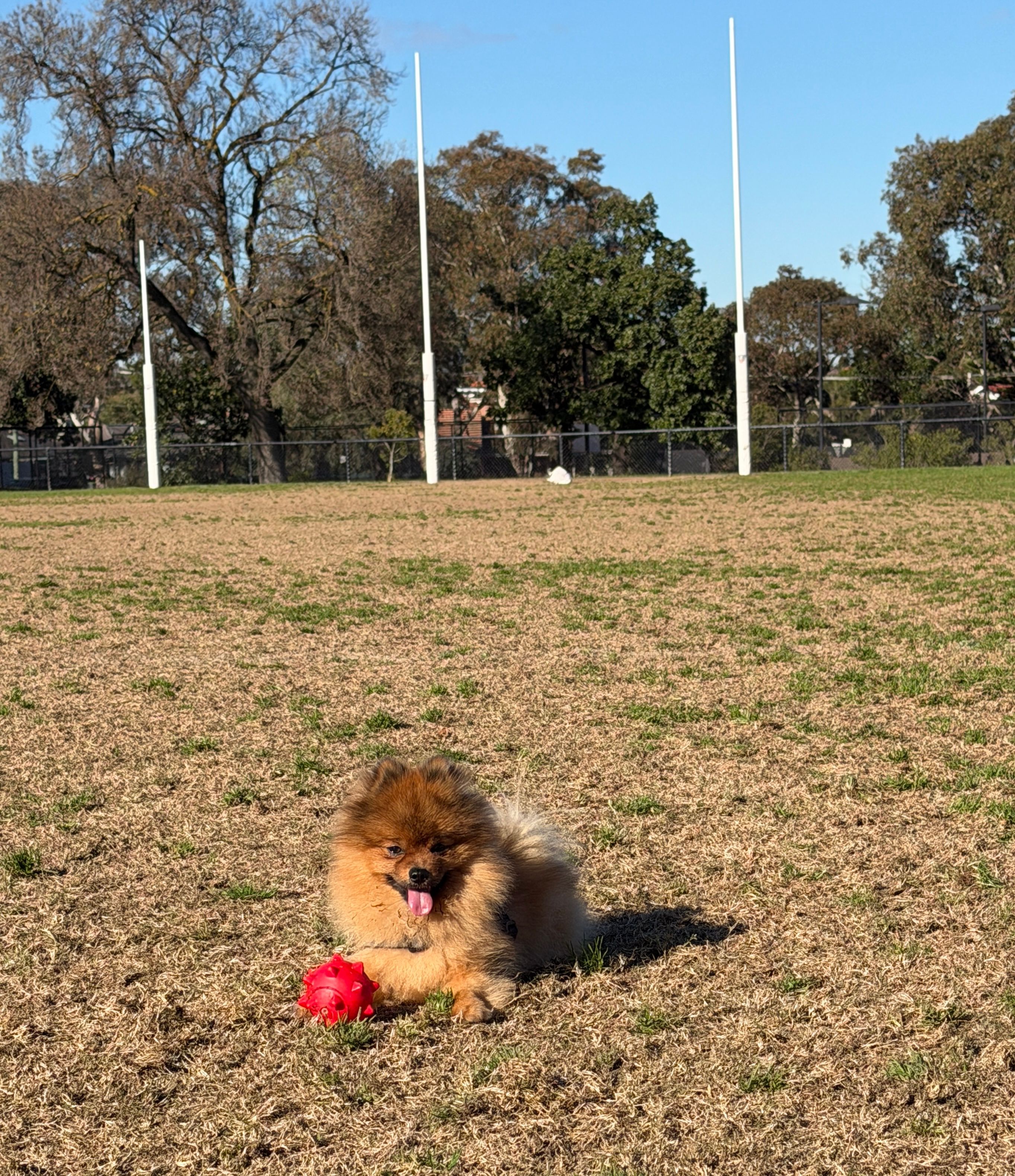 image-4