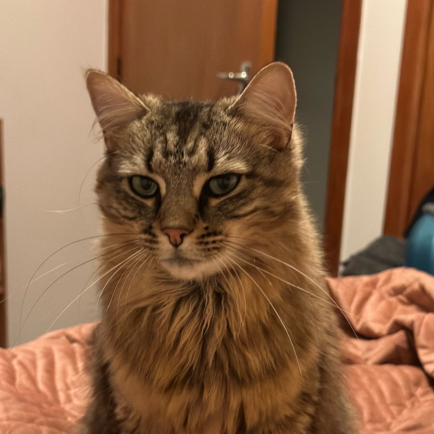Wanda